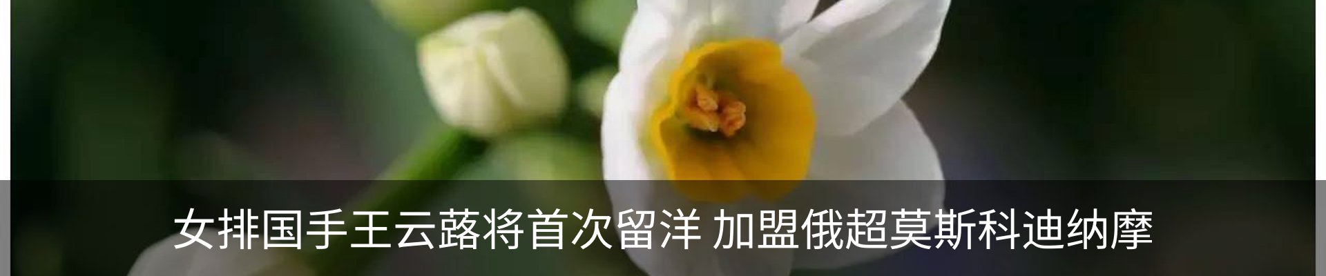 资讯中心